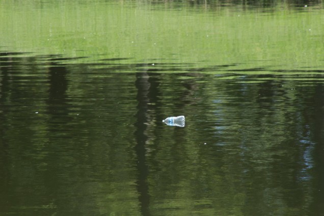water bottle floating in pond